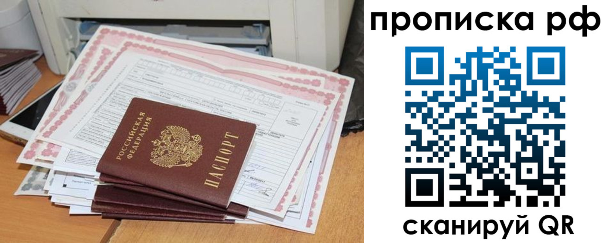 прописка гарантия в Приморском крае